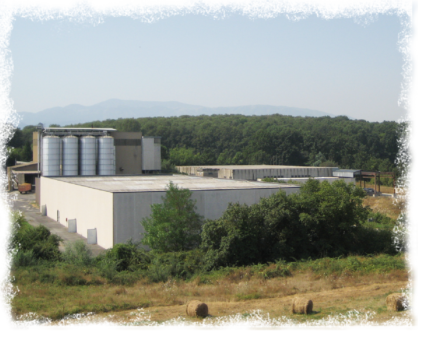 Stabilimento produzione mangimi biologici conto terzi MBio - Paliano (FR)